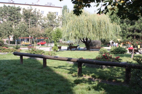 Zieleń miejska – realizacja Zakładu Zieleni